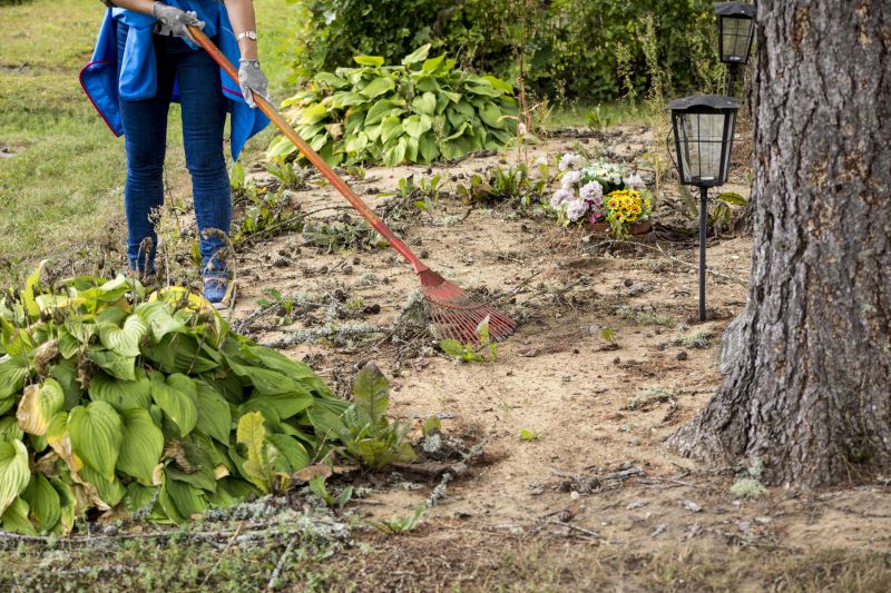 Easement Land Clearing in Houston, TX