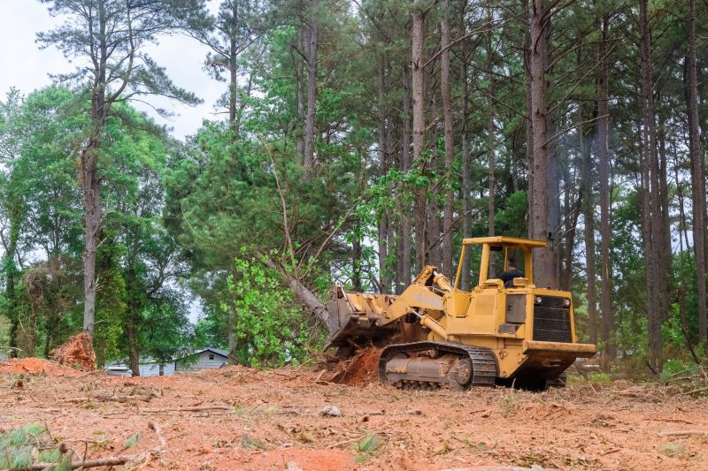 Land Clearing Services